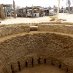 From Cairo to Uyun Musa: Discover Moses’ Springs on a Scenic Desert Adventure