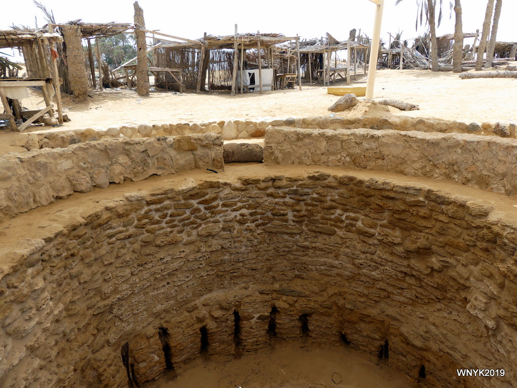 From Cairo to Uyun Musa: Discover Moses’ Springs on a Scenic Desert Adventure