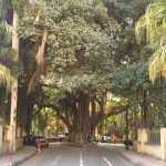 From Chaos to Calm: Your Seamless Cairo to Zamalek Transfer Guide for Culture & Comfort