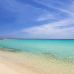 From Waterpark Thrills to Red Sea Serenity: Your Ultimate Guide to Dream Lagoon & Aquapark Resort to Marsa Alam Transfers