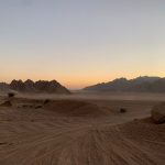 From Coral Reefs to Ancient Forts: Your Ultimate Guide to a Scenic Coraya (Marsa Alam) to El Qsayr Transfer