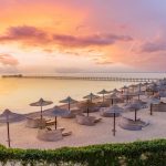 From Coral Reefs to Desert Dreams: Your Ultimate Guide to Coraya to Marsa Alam Transfers