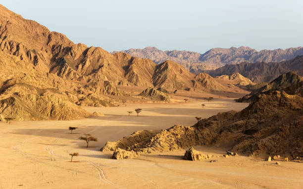 From Coastal Luxury to Ancient Charm: Your Ultimate El Gouna to El Qsayr Travel Guide