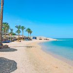 From Desert Oasis to Red Sea Paradise: Your Ultimate El Qsayr to Blend Elphistone Resort Transfer Guide