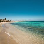 From Reef to Resort: Your Complete Guide to Traveling from Jaz Reef to Marsa Alam