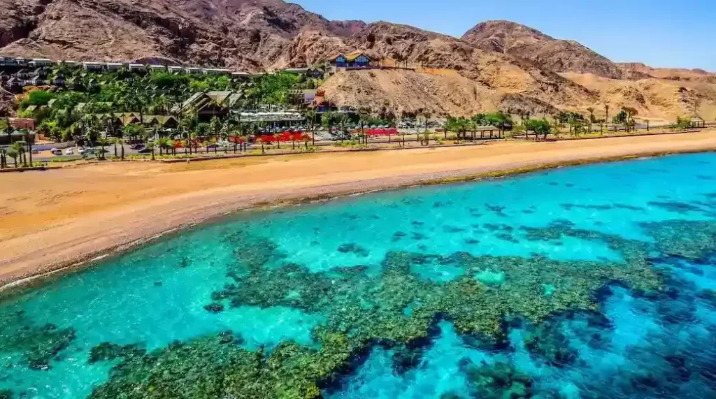 From Beach Bliss to Smooth Departures: Your Complete Guide to Flamenco Beach Resort to Marsa Alam Airport Transfers