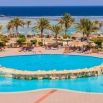 From Coastal Charm to Red Sea Paradise: Your Complete Guide to Hamata to Marsa Alam Transfers