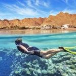 From Coastal Serenity to Red Sea Adventures: Your Ultimate Hamata to Safaga Travel Guide