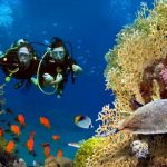 The Ultimate Hurghada Transfer Guide: Stress-Free Travel Within Egypt’s Red Sea Paradise