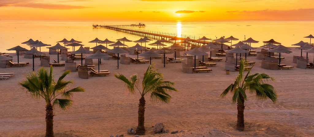 From Vibrant Resorts to Untamed Beauty: Your Complete Guide to Hurghada to Marsa Alam Transfers