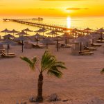 From Vibrant Resorts to Untamed Beauty: Your Complete Guide to Hurghada to Marsa Alam Transfers
