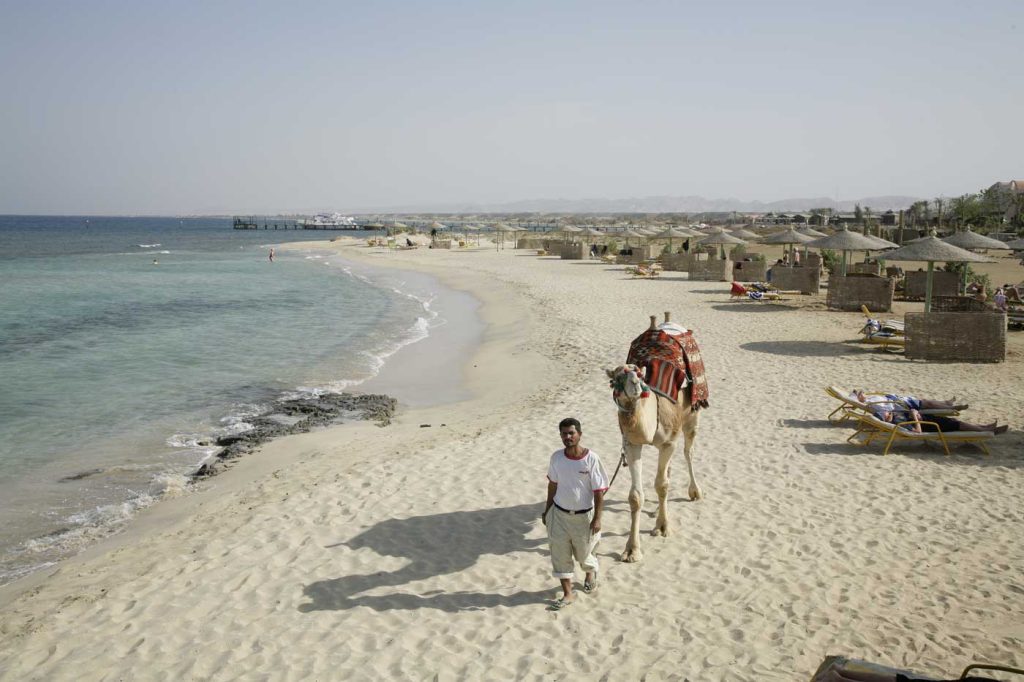 From Vibrant Hurghada to Serene Shams Alam: Your Complete Beach Transfer Guide