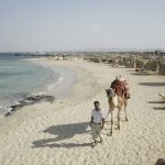 From Vibrant Hurghada to Serene Shams Alam: Your Complete Beach Transfer Guide