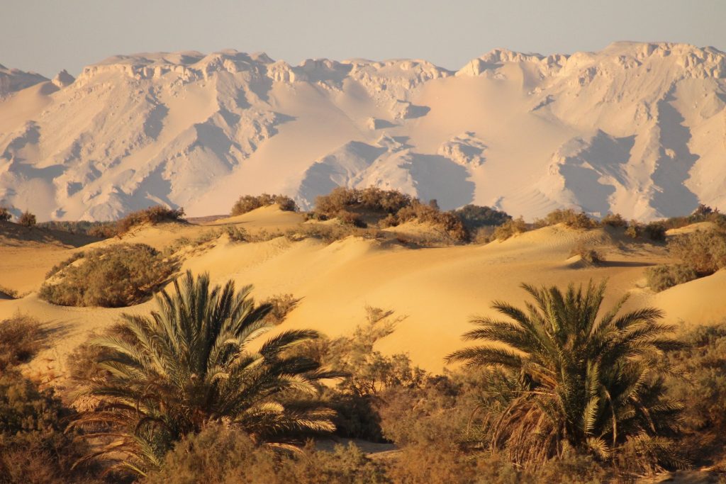 From Pharaohs to Oases: Your Ultimate Luxor to Dakhla Oasis Travel Guide