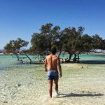 From Pharaohs to Paradise: Your Complete Guide to Luxor Airport to Marsa Alam Transfers