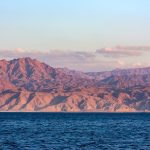 From Airport to Paradise: Your Complete Guide to Marsa Alam Airport to Marsa Shagra Village Transfers