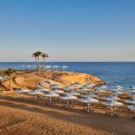 From Airport to Paradise: Your Complete Guide to Marsa Alam Airport to Jaz Reef Resort Transfers