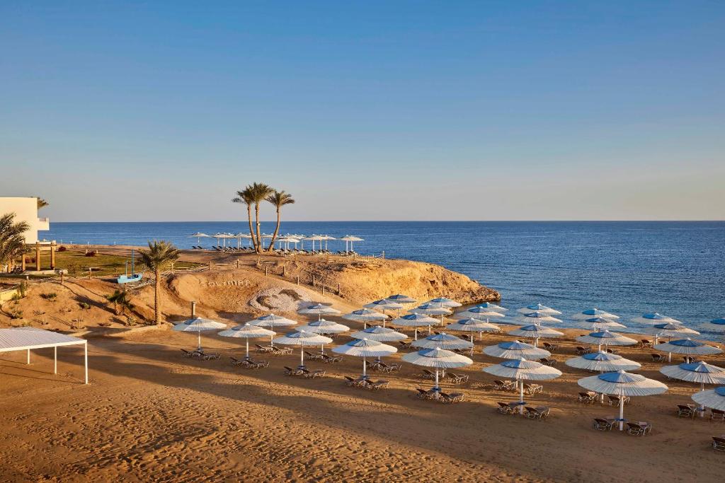 From Airport to Paradise: Your Complete Guide to Marsa Alam Airport to Jaz Reef Resort Transfers