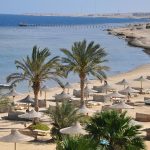 From Airport to Paradise: Your Complete Guide to Marsa Alam Airport to Shoni Bay Transfers