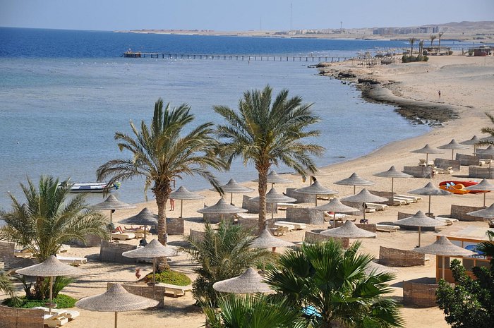 From Airport to Paradise: Your Complete Guide to Marsa Alam Airport to Shoni Bay Transfers