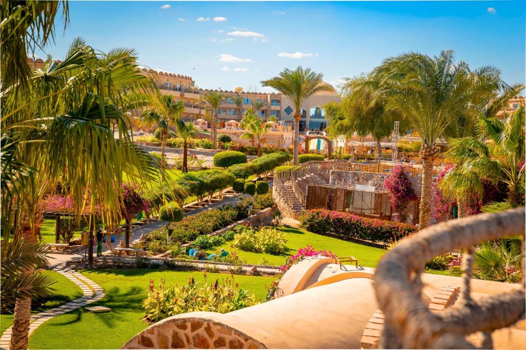 From Airport to Paradise: Your Complete Guide to Marsa Alam Airport to Utopia Beach Club Transfers