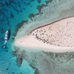 From Coral Reefs to Ancient Wonders: Your Complete Guide to Marsa Alam to Abu Nawas Transfers