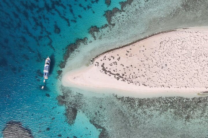 From Coral Reefs to Ancient Wonders: Your Complete Guide to Marsa Alam to Abu Nawas Transfers