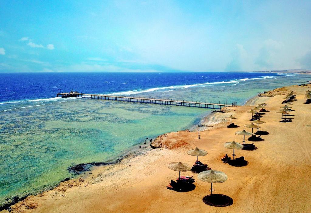 From Marsa Alam to Coraya Bay: Your Ultimate Red Sea Transfer Guide