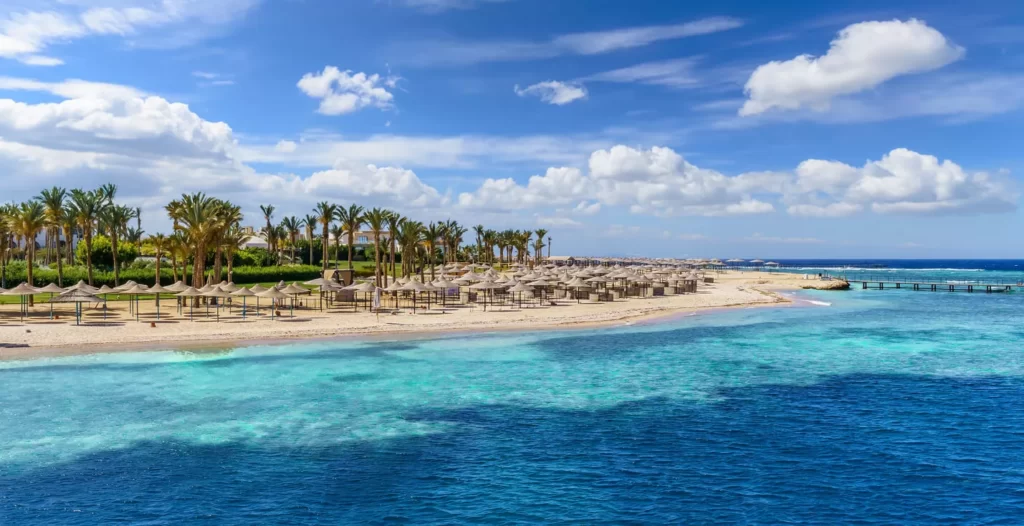 From Coastal Paradise to Desert Oasis: Your Complete Guide to Marsa Alam to Fayrouz Transfers