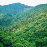Bakuriani to Lopota Lake: A Scenic Georgian Adventure by Road