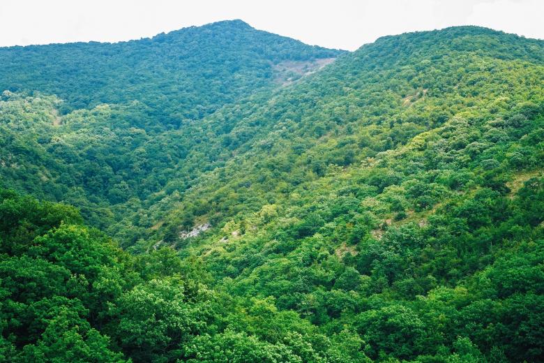 Bakuriani to Lopota Lake: A Scenic Georgian Adventure by Road