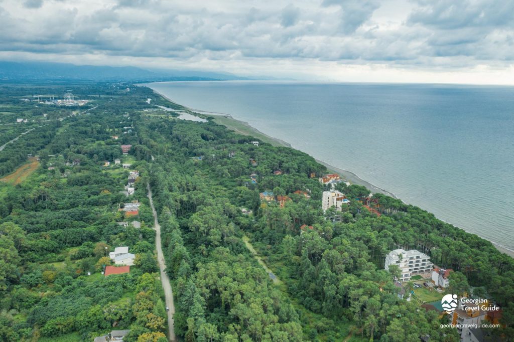 Batumi Airport to Shekvetili: Your Ultimate Travel Guide for a Seamless Journey
