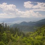 From Kutaisi Airport to Borjomi: Your Ultimate Travel Guide