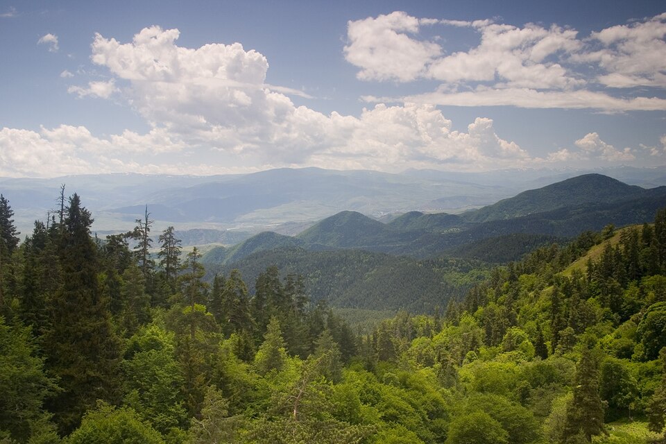 From Kutaisi Airport to Borjomi: Your Ultimate Travel Guide
