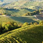 From Kutaisi Airport to Sighnaghi: Your Ultimate Travel Guide to Georgia’s Scenic Route