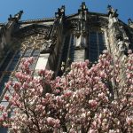 Comprehensive 5000-Word Blog Article: Aachen to Düsseldorf Airport (DUS) Adventure