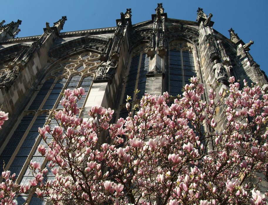Comprehensive 5000-Word Blog Article: Aachen to Düsseldorf Airport (DUS) Adventure