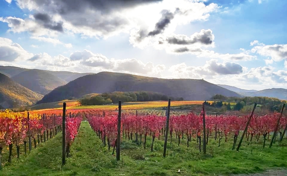 Your Stress-Free Journey: Bad Neuenahr-Ahrweiler to Düsseldorf Airport Ultimate Transfer Guide