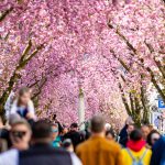 Ultimate Guide: Bonn to Dusseldorf-Weeze Airport Taxi – Stress-Free Travel in the Rhineland