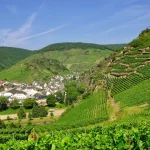 Escape to the Rhine Valley: Your Stress-Free Journey from Cologne Bonn Airport to Bad Neuenahr-Ahrweiler