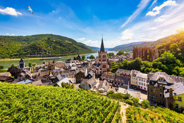 Ultimate Adventure: Seamless Cologne Bonn Airport to Maastricht Transfers & Travel Guide