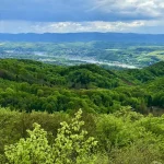 Cologne Bonn Airport to Wiehl Taxi: Your Gateway to the German Countryside & Adventure