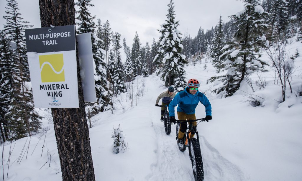 Cologne to Landgraaf Taxi: Your Ultimate Cross-Border Adventure to Snow & Thrills