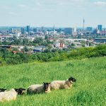 Dortmund to Eindhoven Taxi: Your Ultimate Cross-Border Travel Guide