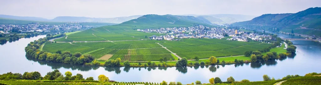 Düsseldorf Airport to Bendorf: Your Ultimate Guide to Scenic Rhine Transfers & Historic Adventures