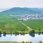 Düsseldorf Airport to Bendorf: Your Ultimate Guide to Scenic Rhine Transfers & Historic Adventures