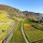 From Düsseldorf Airport to Borculo: Seamless Transfers to Dutch Countryside Charm