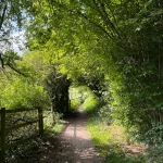 Düsseldorf Airport to Heiligenhaus Taxi: Seamless Transfers to Nature’s Doorstep
