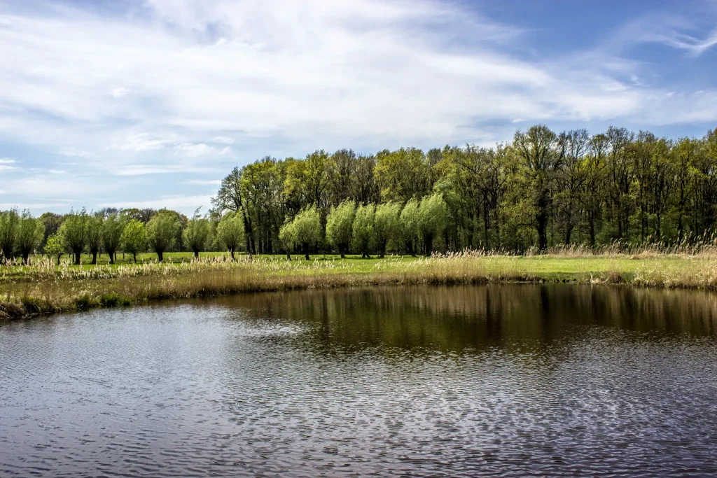 Düsseldorf Airport to Kaldenkirchen: Your Ultimate Transfer Guide to the Dutch Border