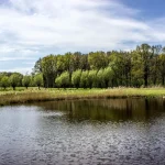 Düsseldorf Airport to Kamp-Bornhofen: Scenic Rhine Valley Transfers & Castle Adventures